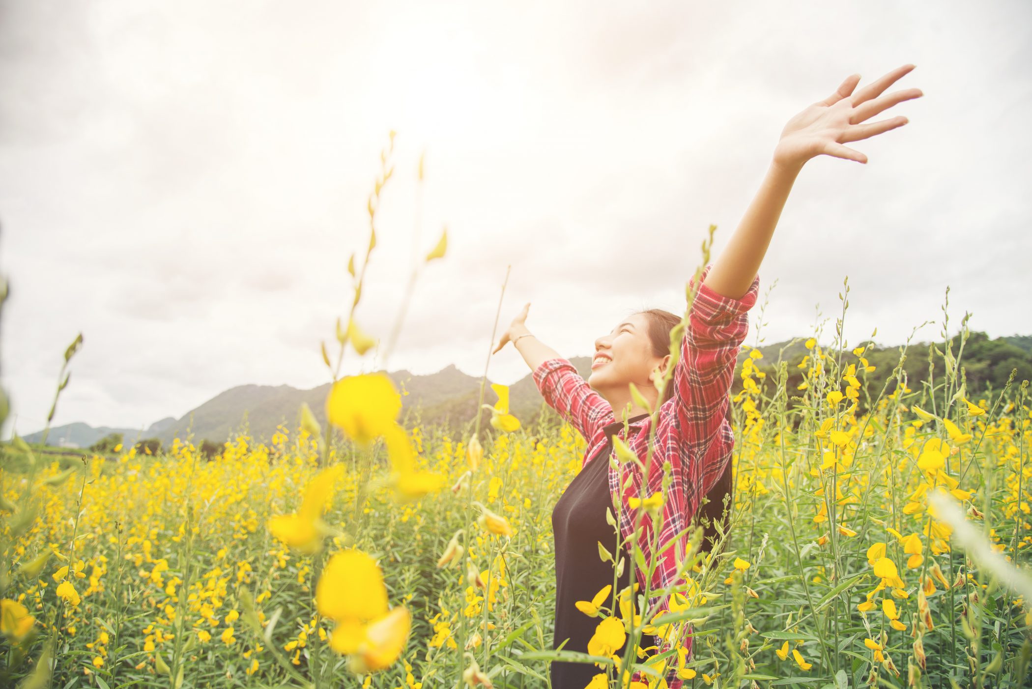 Young Beautiful Woman Standing In The Flower Field Enjoyment Medimon